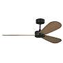 3_Visual Comfort Fan Collection Paddle Smart 52 Black Fan more views