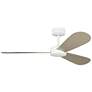 2_Visual Comfort Fan Collection Paddle Smart 52 White Fan more views