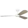 1_Visual Comfort Fan Collection Paddle Smart 60 White Fan