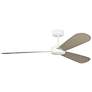 2_Visual Comfort Fan Collection Paddle Smart 60 White Fan more views