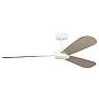 3_Visual Comfort Fan Collection Paddle Smart 60 White Fan more views
