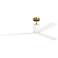Visual Comfort Fan Collection Peel Smart 66 LED Array Burnished Brass Fan