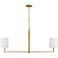 Visual Comfort Studio Danica Large Linear A19 50" Burnished Brass