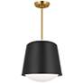 4_Visual Comfort Studio Draper Midnight Black / Burnished Brass Pendant 1 E26 more views