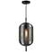Vita 8.6" Wide Black Pendant With Smoke Grey Glass Shade