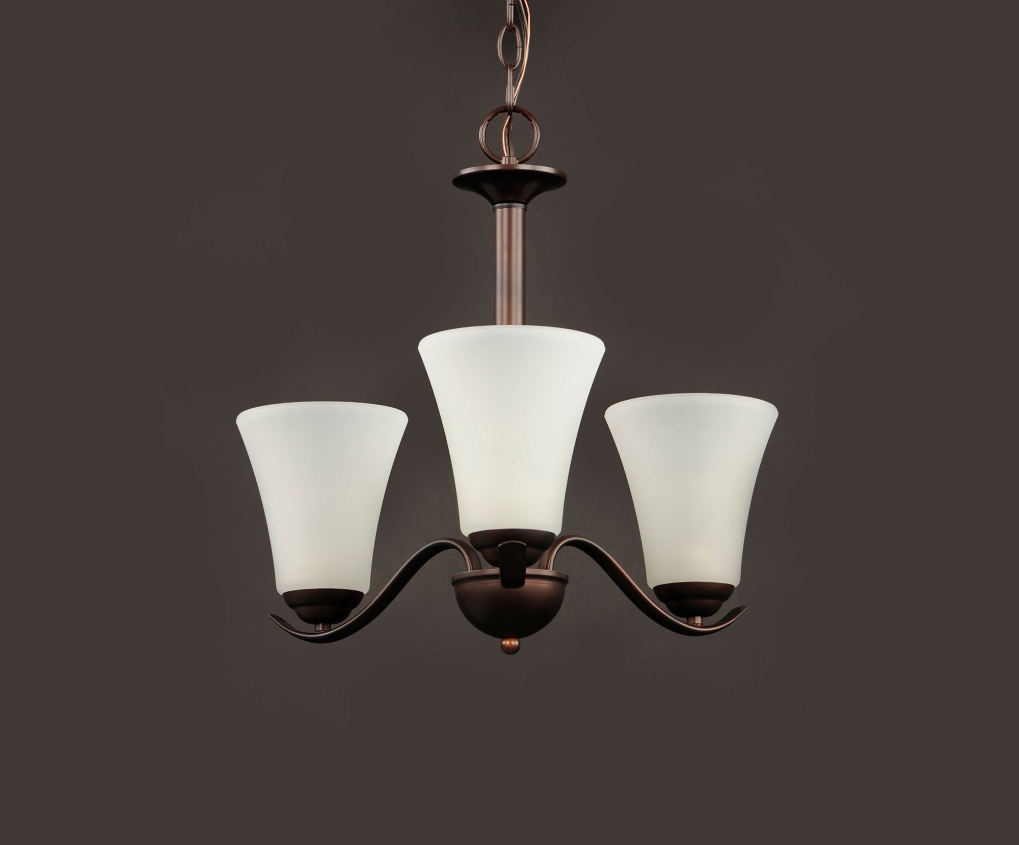 Image 3 Vital 3-Light 20" Wide Oil Rubbed Bronze Chandelier more views