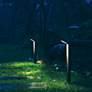 WAC 23 1/2"H Bronze Linear 2700K LED Landscape Path Light