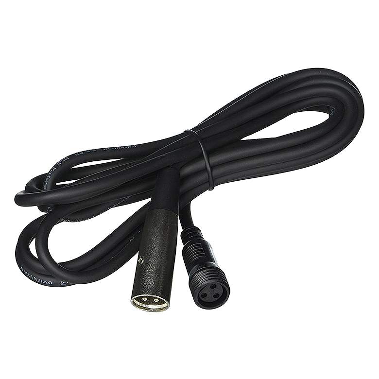 Image 1 WAC InvisiLED 10' Black DMX Outdoor Connecting Signal Wire