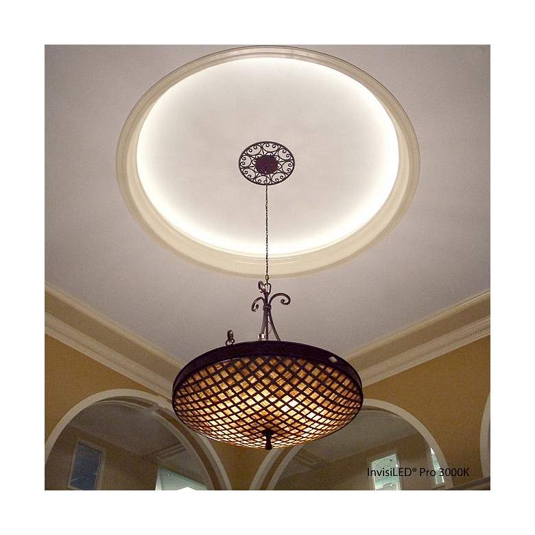 Image 2 WAC InvisiLED PRO 1' White 3000K LED Tape Lights Pack of 40 more views