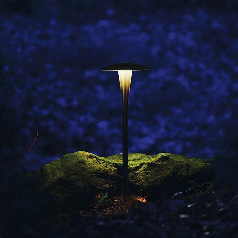 Image 4 WAC Landscape 22"H Bronzed Brass 2700K LED Area Path Light more views