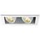 WAC LEDme® Double Spotlight Recessed Trim with Housing