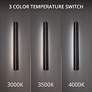 4_WAC Revels 48" High Black LED Outdoor Wall Light more views