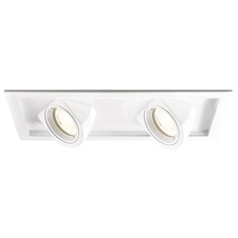Image 1 WAC Tesla LED Double 40 Degree Recessed Trim with Housing