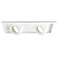 WAC Tesla LED Double 40 Degree Recessed Trim with Housing