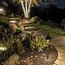 WAC Tiki 22 1/4" High Bronze LED Landscape Path Light