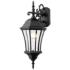 Wakefield 24" High Black Outdoor Wall Light