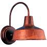 Warehouse 13"H Rosewood Large Brass Outdoor Wall Light