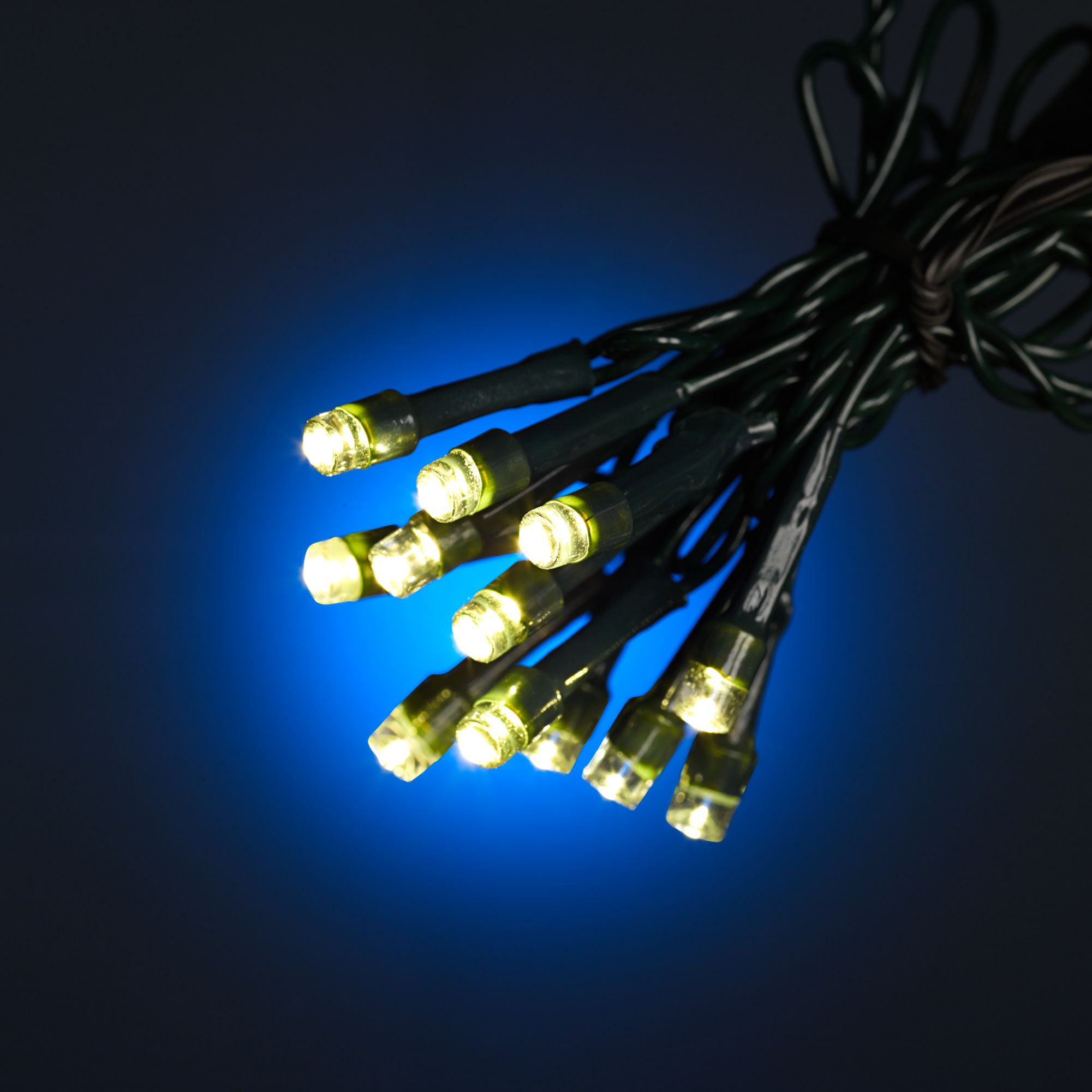 Warm White 66 Battery Operated Timer LED String Lights 6R676