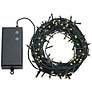 Warm White 66&#39; Battery Operated Timer LED String Lights
