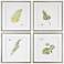 Watercolor Leaf Study 28" Square 4-Piece Framed Wall Art Set