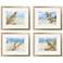 Watercolor Sea Oats 25" Wide 4-Piece Framed Wall Art Set