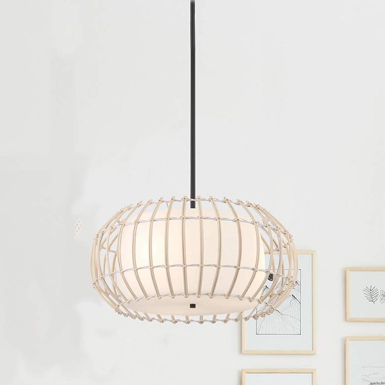 Image 1 Watermill 20" Wide Coal and Wicker Cage Pendant Light