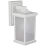 1_Wave Lighting Artisan 12" 4000K White Outdoor Wall Light with Frosted