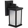 1_Wave Lighting Artisan 12" Black Outdoor Wall Light with Frosted Lens