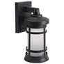 1_Wave Lighting Artisan 13" 3000K Black Outdoor Wall Light with Frosted