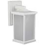 1_Wave Lighting Artisan 14" 3000K White Outdoor Wall Light with Frosted