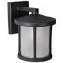 1_Wave Lighting Artisan Round 12" 4K Black Outdoor Light with Frosted Le