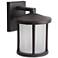 Wave Lighting Artisan Round 12" 4K Bronze Outdoor Light with Frosted L