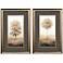 Way of Nature 22"W x 34"H Framed Art Set of 2