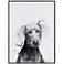 Weimaraner 24"x18" Rectangular Printed Glass Framed Wall Art