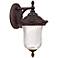 Wellington 11 1/4" High LED Bronze Outdoor Wall Light