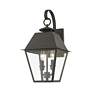 Thumbnail3 of Wentworth 2 Light Charcoal Outdoor Medium Wall Lantern more views