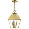 Wentworth 2 Light Natural Brass Outdoor Medium Pendant Lantern