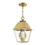 3_Wentworth 2 Light Natural Brass Outdoor Medium Pendant Lantern more views