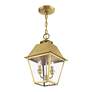 4_Wentworth 2 Light Natural Brass Outdoor Medium Pendant Lantern more views