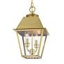 5_Wentworth 2 Light Natural Brass Outdoor Medium Pendant Lantern more views