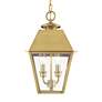 6_Wentworth 2 Light Natural Brass Outdoor Medium Pendant Lantern more views