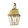 4_Wentworth 2 Light Natural Brass Outdoor Medium Wall Lantern more views