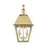 6_Wentworth 2 Light Natural Brass Outdoor Medium Wall Lantern more views