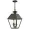 Wentworth 3 Light Charcoal Outdoor Large Pendant Lantern