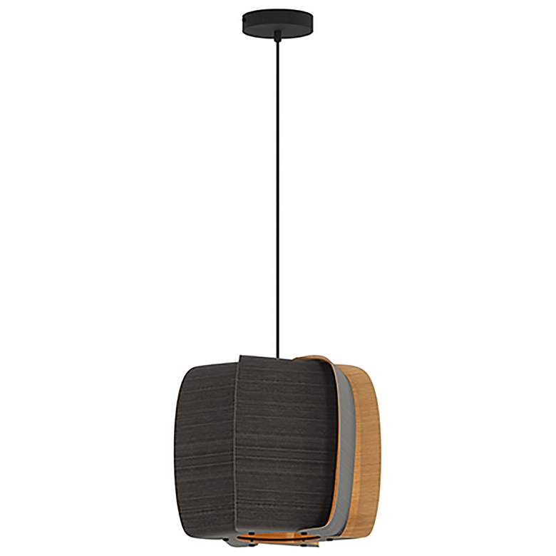 Image 1 WEP Collection Alba 40 15.75"W Pendant Black Finish with Ebony/Ash Shade
