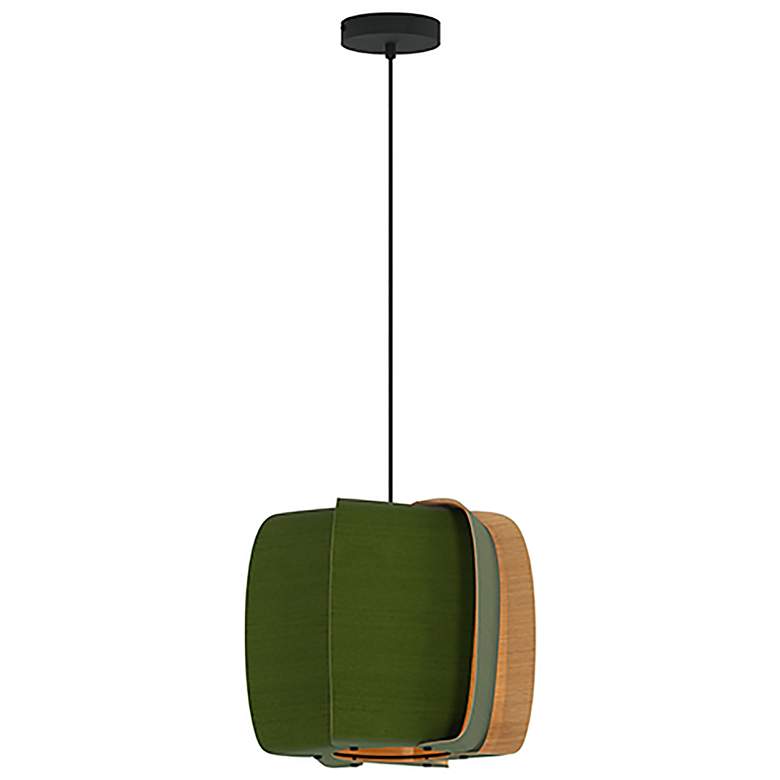 Image 1 WEP Collection Alba 40 15.75"W Pendant Black Finish with Green/Ash Shade
