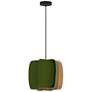 1_WEP Collection Alba 40 15.75"W Pendant Black Finish with Green/Ash Shade