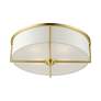 6_Wesley 19" Wide Satin Brass Drum Ceiling Light more views