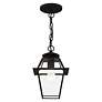 6_Westover 1 Light Black Outdoor Pendant Lantern more views