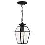 7_Westover 1 Light Black Outdoor Pendant Lantern more views